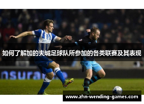 如何了解加的夫城足球队所参加的各类联赛及其表现